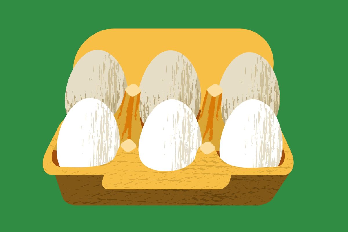 Salmonella egg recalls: a sign that controls are working