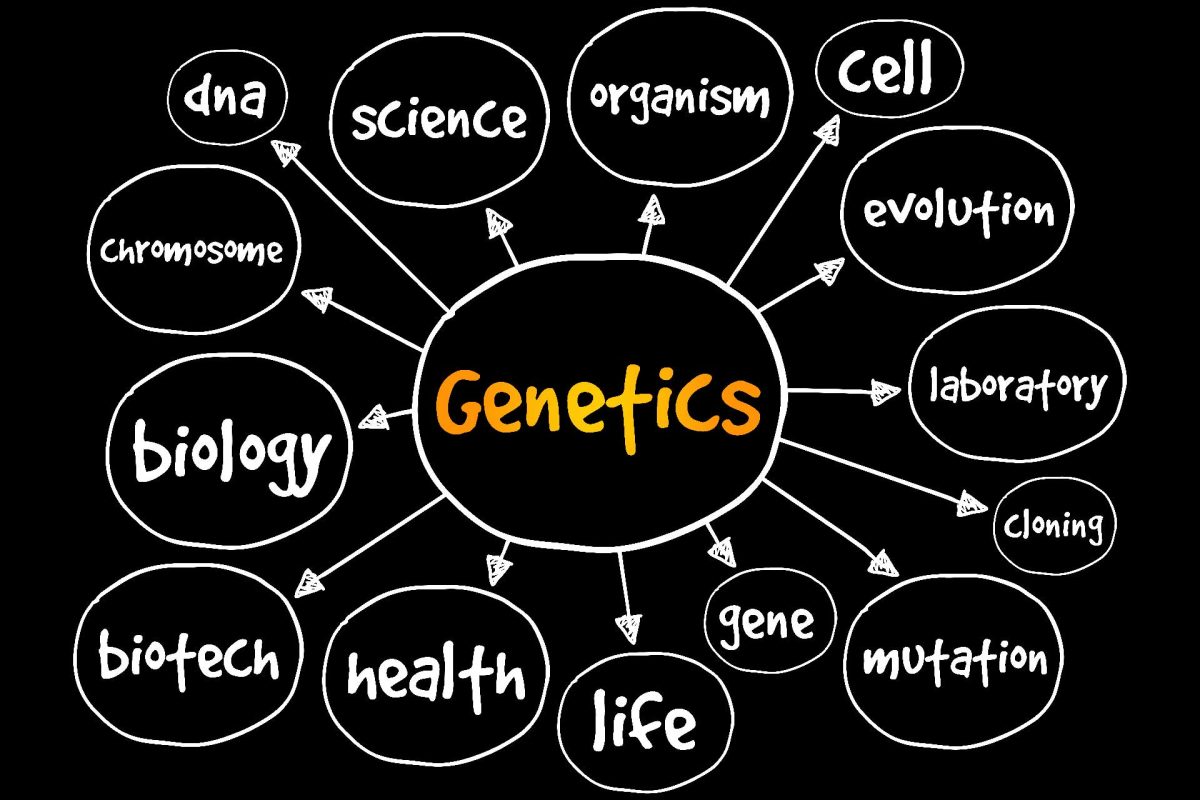 Plant mutations and precision breeding
