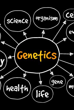 Plant mutations and precision breeding