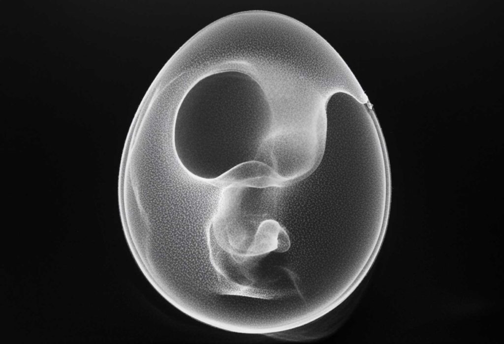 Solutions to the problem of culling male chicks