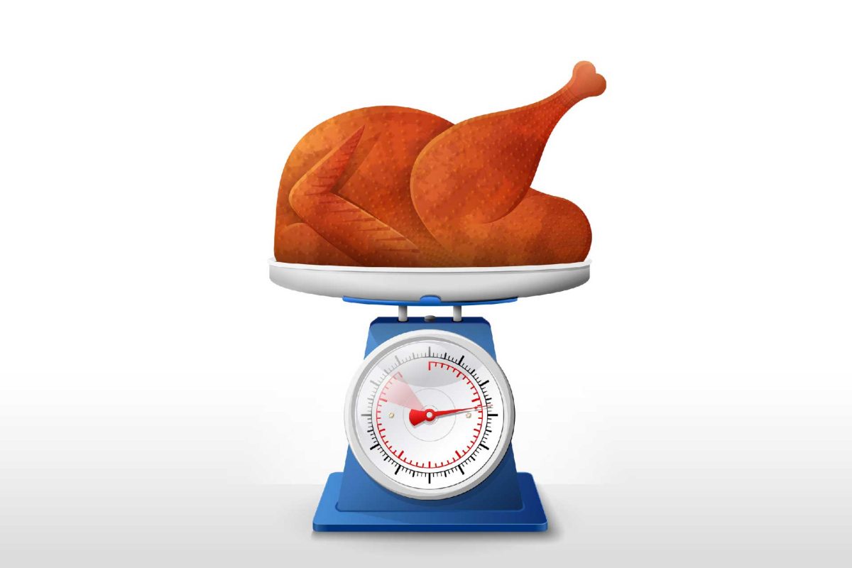 This is why today fewer chickens are needed to produce the same amount of meat