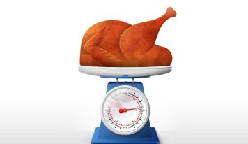 This is why today fewer chickens are needed to produce the same amount of meat