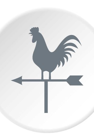 Independent Observatory on Poultry Reputation