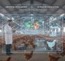 ARTIFICIAL INTELLIGENCE IN POULTRY PRODUCTION — POTENTIAL, PATIENCE, AND PRECISION