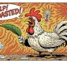 Summer Inside a Poultry Farm: Intensive Protection
