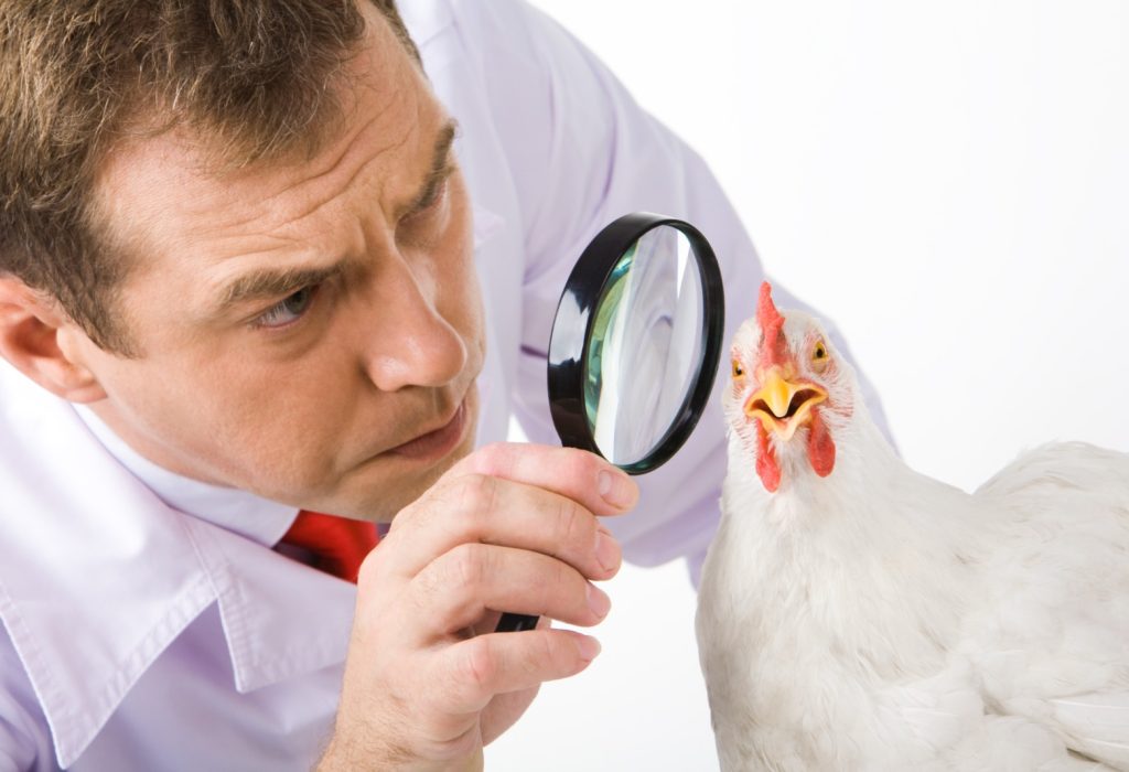 Food Safety: the problem is not finding someone to blame