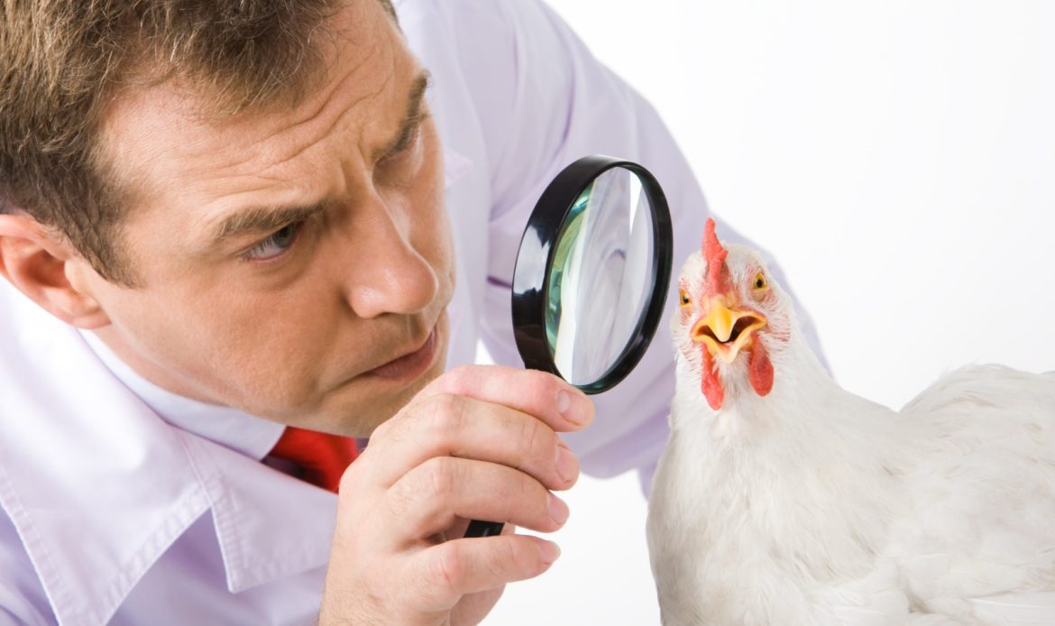Food Safety: the problem is not finding someone to blame