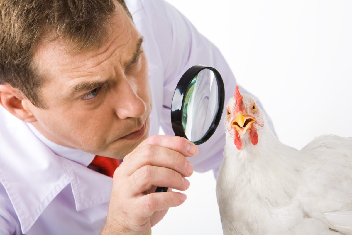 Food Safety: the problem is not finding someone to blame