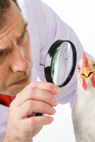 Food Safety: the problem is not finding someone to blame