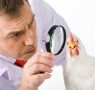 Food Safety: the problem is not finding someone to blame