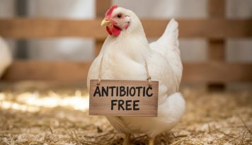 Antibiotics in chicken: what consumers need to know and what the industry must finally say