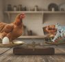 Who ensures our protein supply when the world becomes unstable?