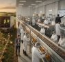 Poultry farming: a sector that produces food, but also knowledge